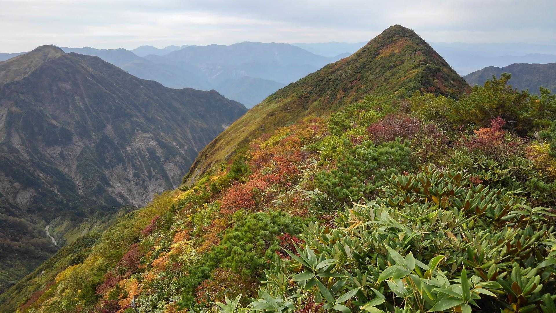 十二平登山口-グシガハナ-越後駒ヶ岳 往復コースの写真