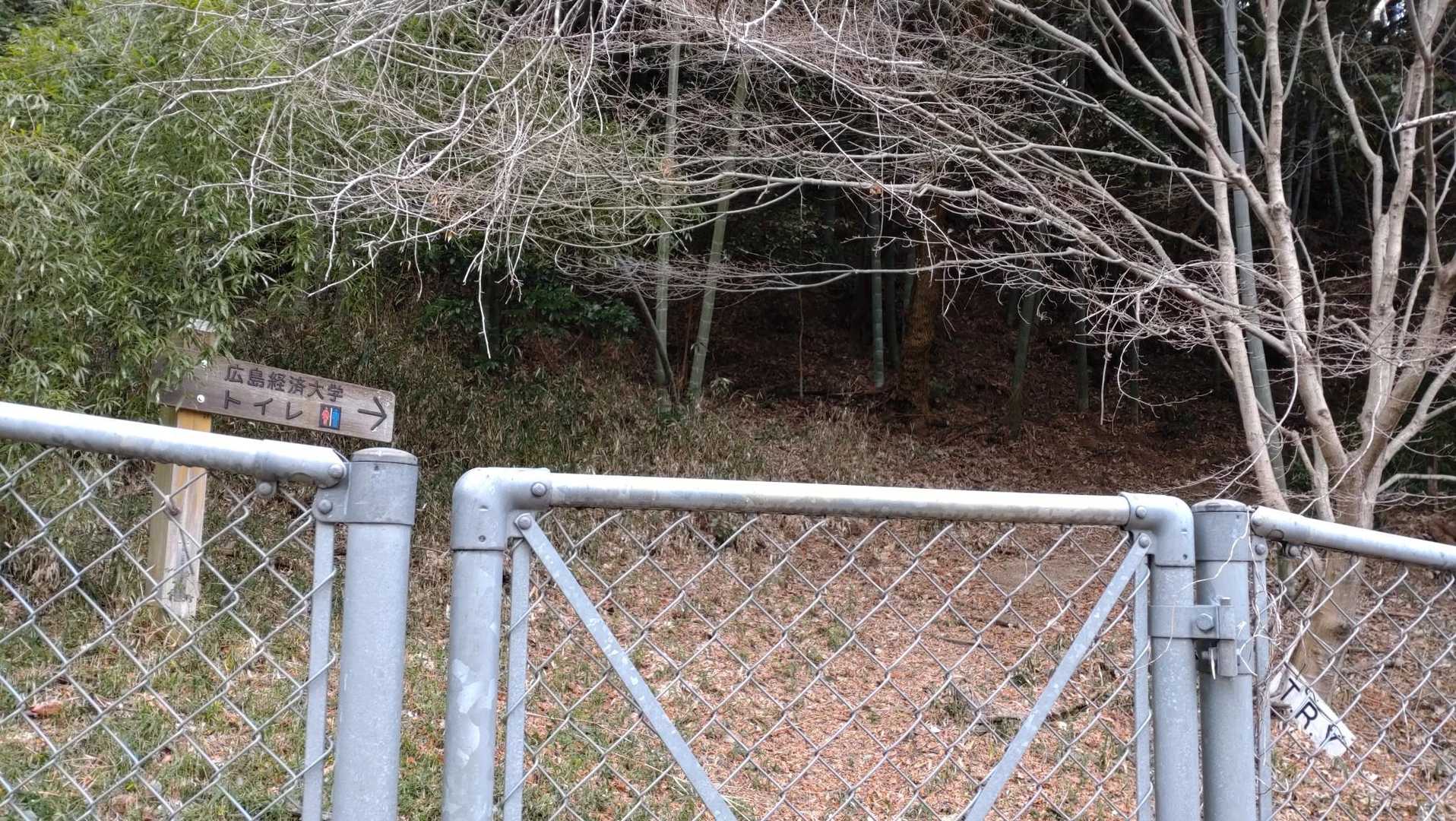 今日は憩いの森公園に下りてきたよ