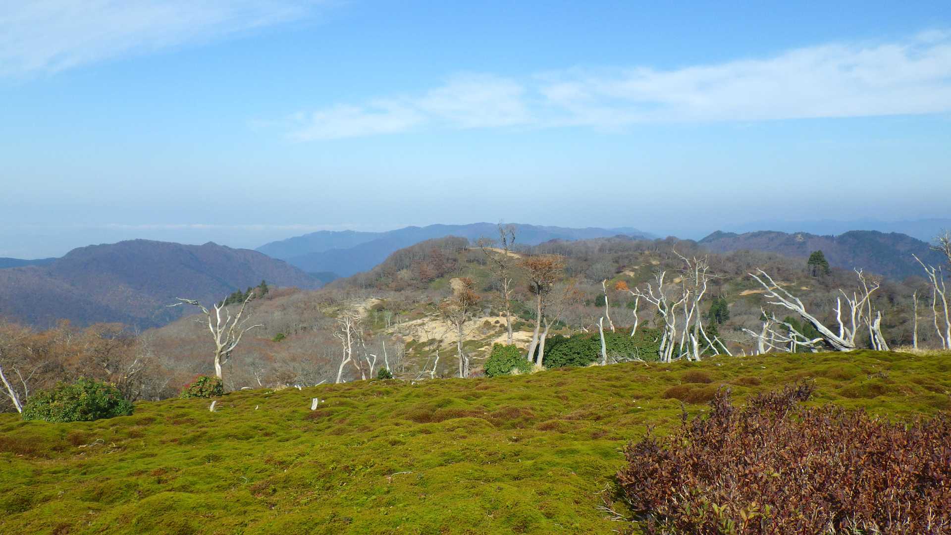 甲津畑登山口-杉峠-杉峠ノ頭-イブネ-クラシ 往復コースの写真