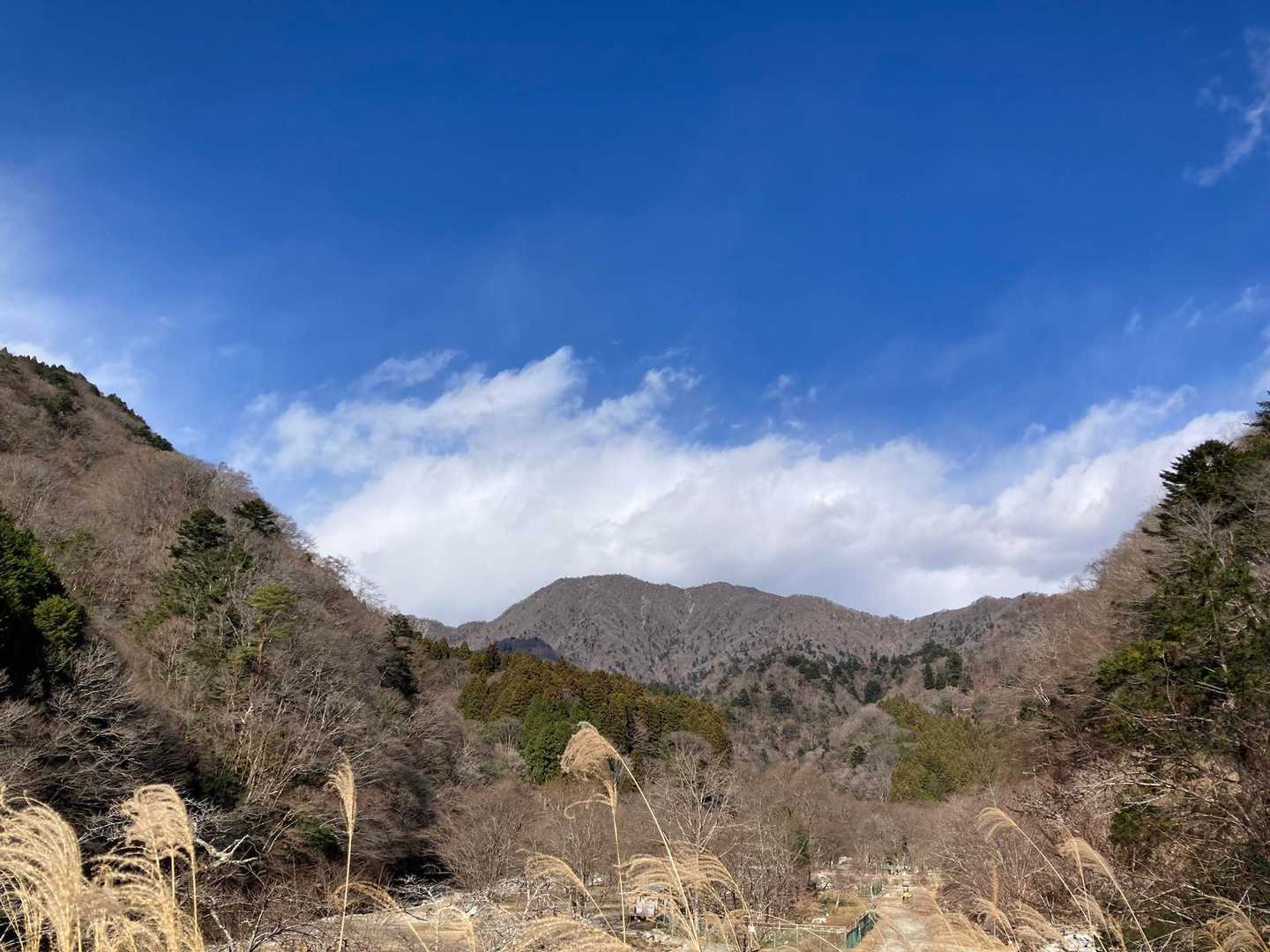 振り返りの大室山〜。
アディオス👋