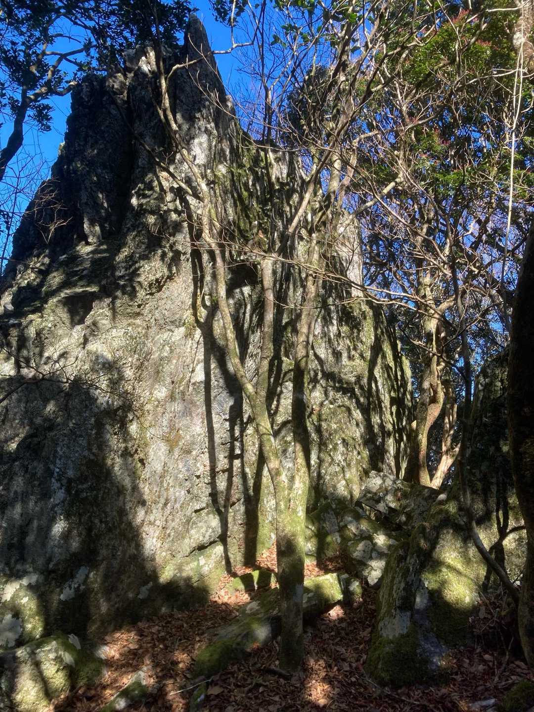 藤越-栃谷山-釈迦岳-釈迦岳 往復コースの写真