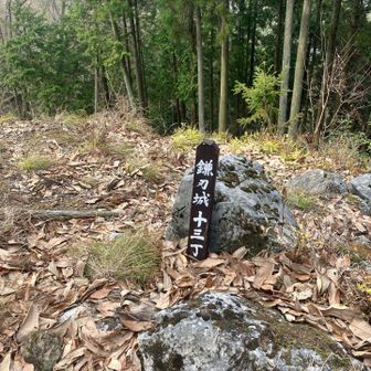 石段下のすぐ横に、十三丁の標識があることからも、こちらが正規ルートとわかります。