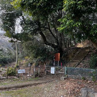 スニーカーしかなかったので滑らないようにゆっくりゆっくり下りてきました
お子ちゃまは滑りそうな所はお尻で下りとる😅ちょっと慎重すぎないかい？
とかいいつつ無事にゴール！今回もワガママにお付き合いありがとうね🥰