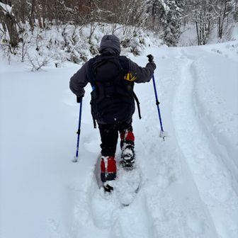 どこでも歩けるねと言っています