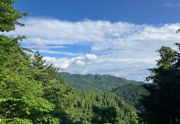 草戸山（東京・神奈川・364m）| 登山ルート・天気 | YAMAP / ヤマップ