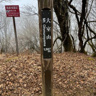 雪なし。霜柱と落ち葉🍂大量。石割山までこんな感じやった。