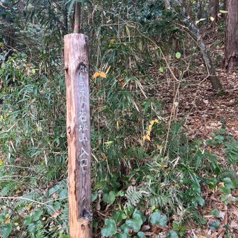 今回はここから登ります