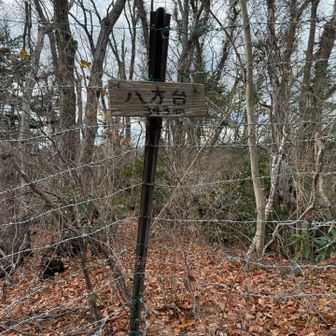 始まりのピーク