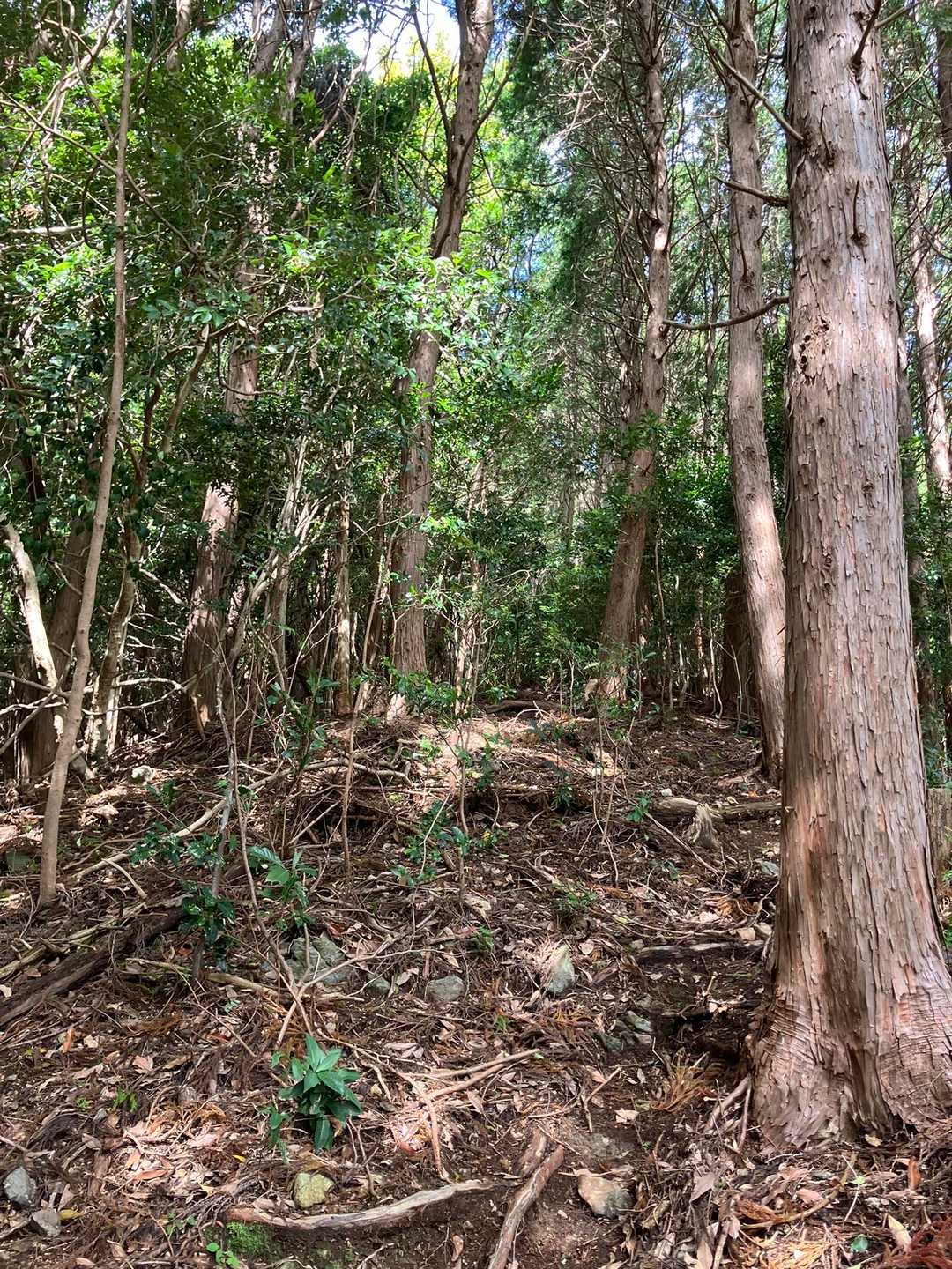 徐々に　急坂に…🥵💦