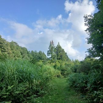 まもなく萱峠