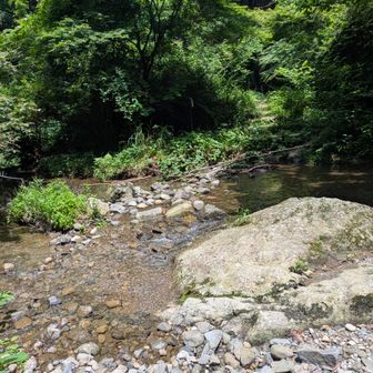 牛滝山麓の牛滝川を渡渉。