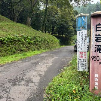 道中、看板でその名を見かけてから、ずっと気になっていた「白岩滝」
近くにあることを知り、せっかくなので立ち寄ってみることに✨