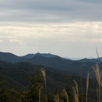 やや曇っていますが、
高野山西側の山々の眺望が開けています✨
