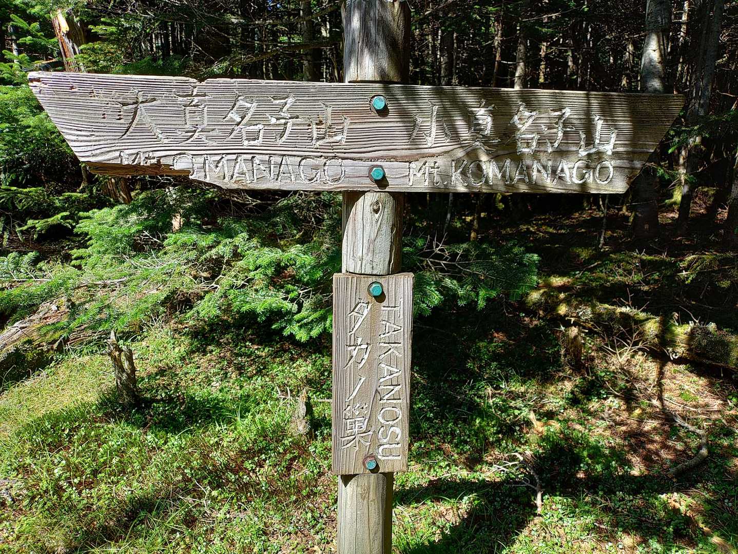 下りきって鷹の巣。登りに入ります。こちらも直登💦