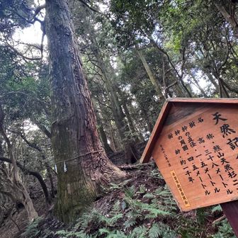 ついでにお願い事を…

今月はもう台風はこないでください🙏