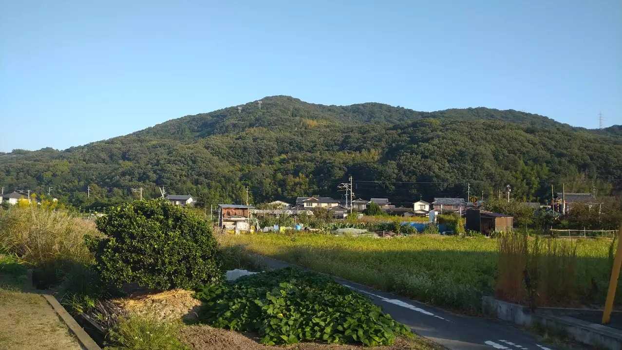 芥子山の写真