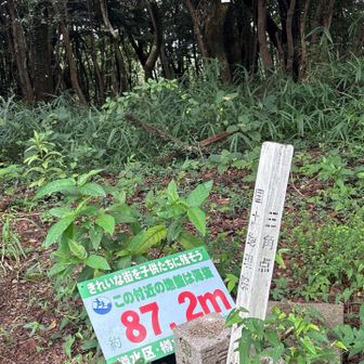 奥の木に本宮山のプレートが見えます