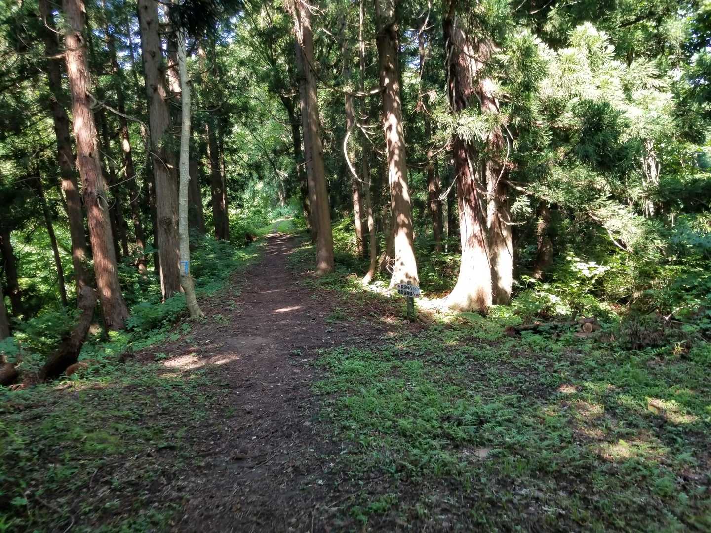 温泉分岐で一息入れて