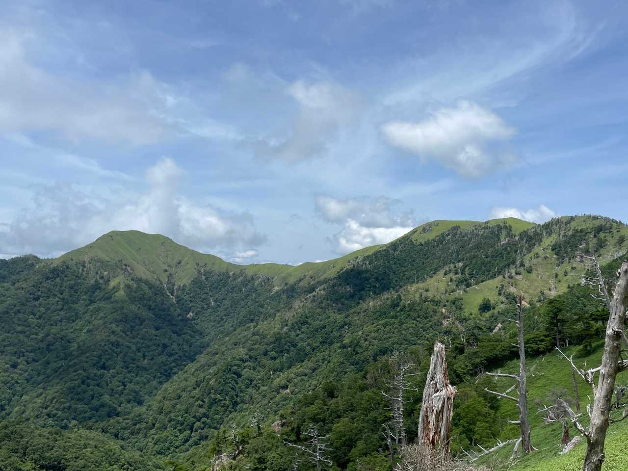 山頂からのタロジロ😊