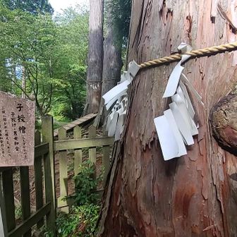 あれ🤭子授檜🤔？

……そうなんです
孫が欲しくて🤣。
お願いしてきました🌟🙏