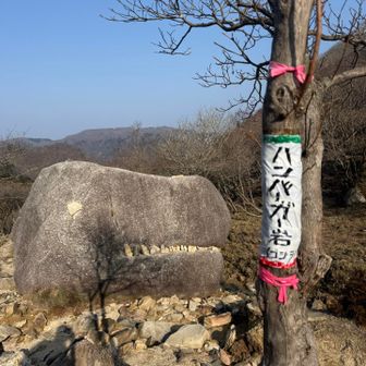 ハンバーガー(ゴジラ)岩🪨