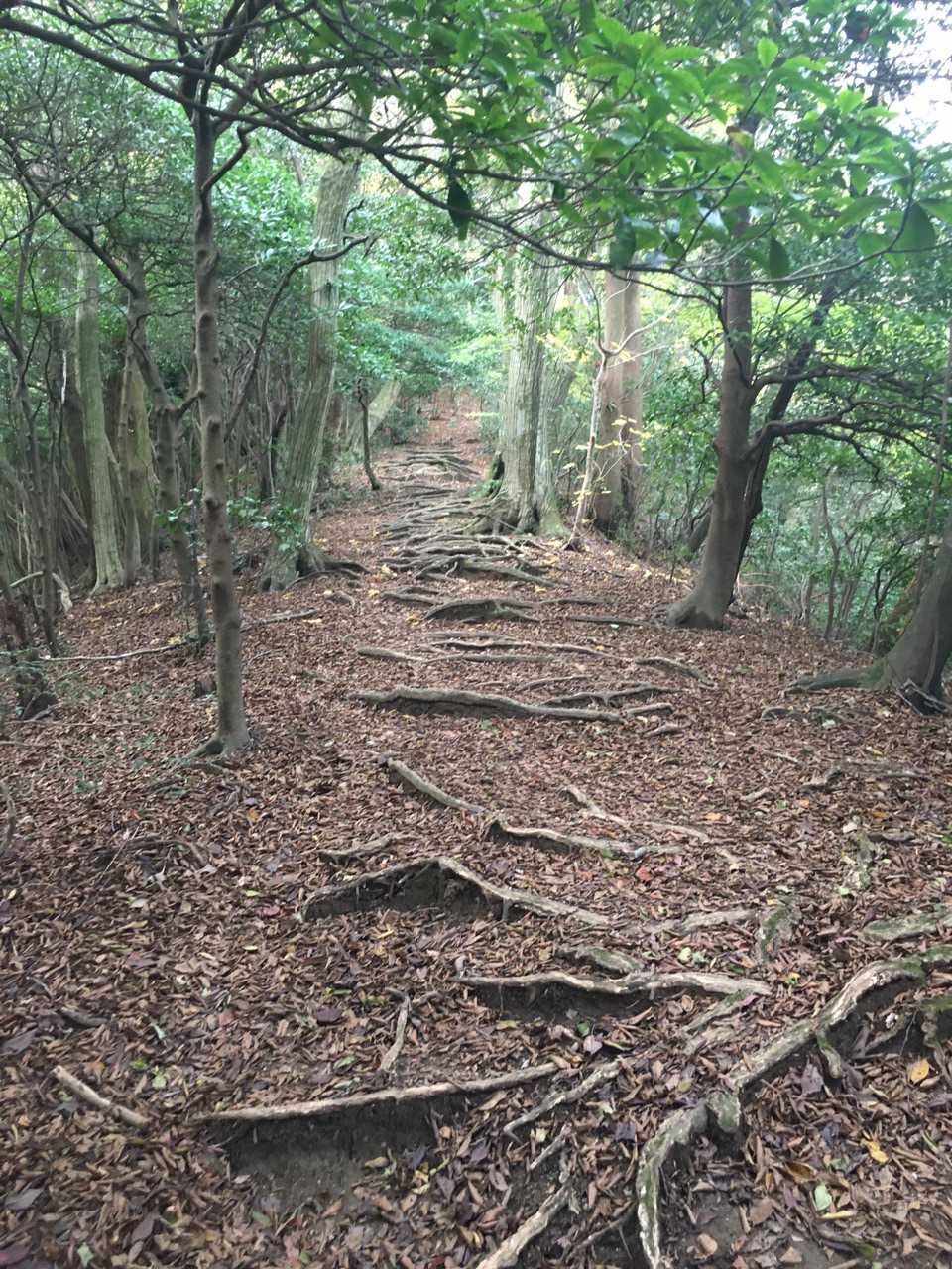 地味にキツい。