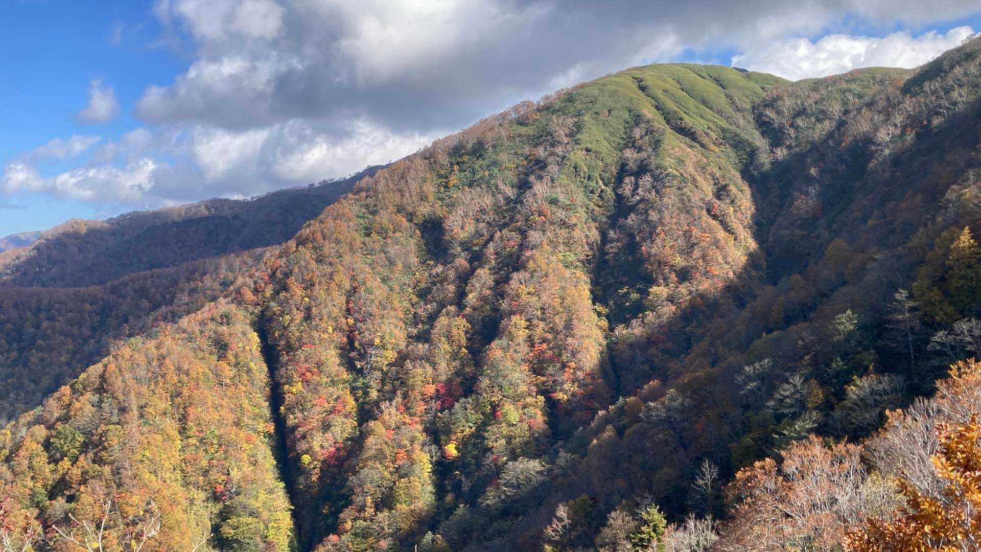 三角山-広域林道登山口-保月山-釈氏ヶ岳-中岳-経ヶ岳-北 周回コースの写真