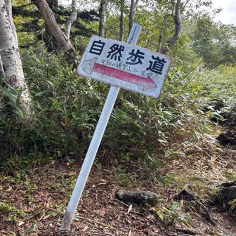 帰りは見落とさないようにしないとね