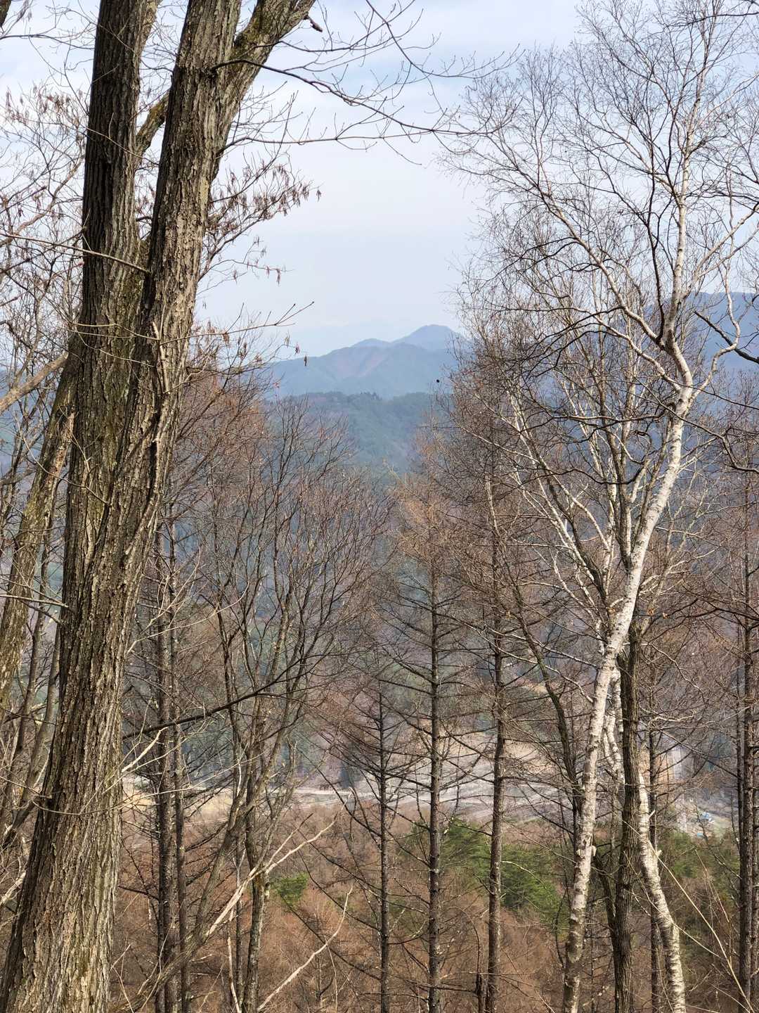 遠く冠着山