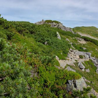 やっと山頂見えた
