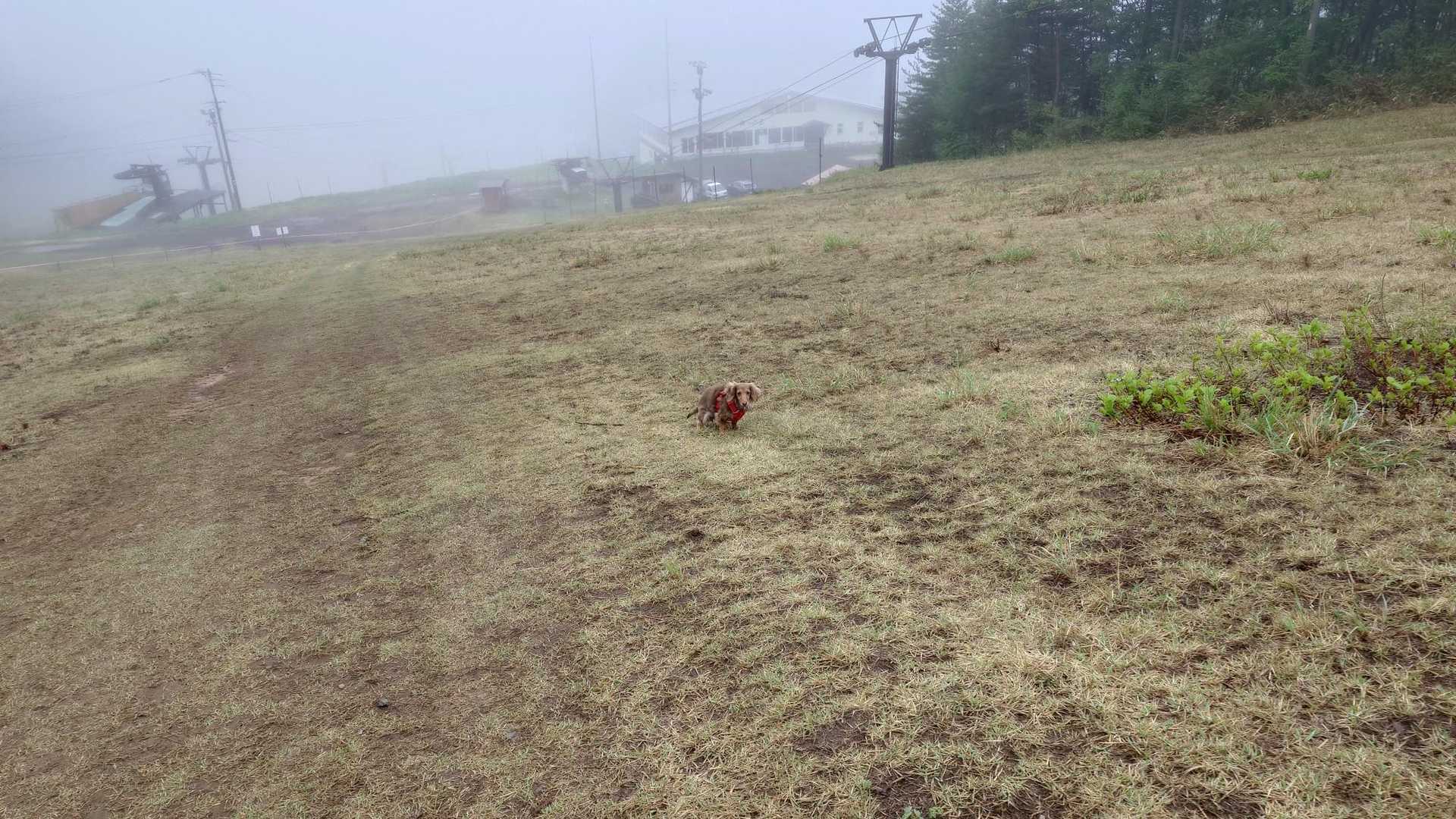谷厳寺登山口-高社山 縦走コースの写真