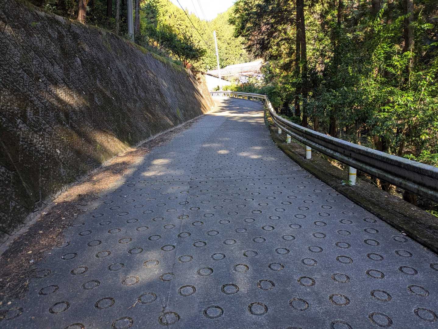 しかしまだまだ急坂は続きます。
