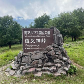 あっという間に夜叉神峠に到着。２時間前から左足の小指が靴に当たって痛くて、我慢の限界だが、あと１時間だからと我慢してたら、登山口に着いて確認したら血が出てた。😅