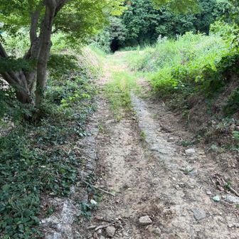 いざ、入山！