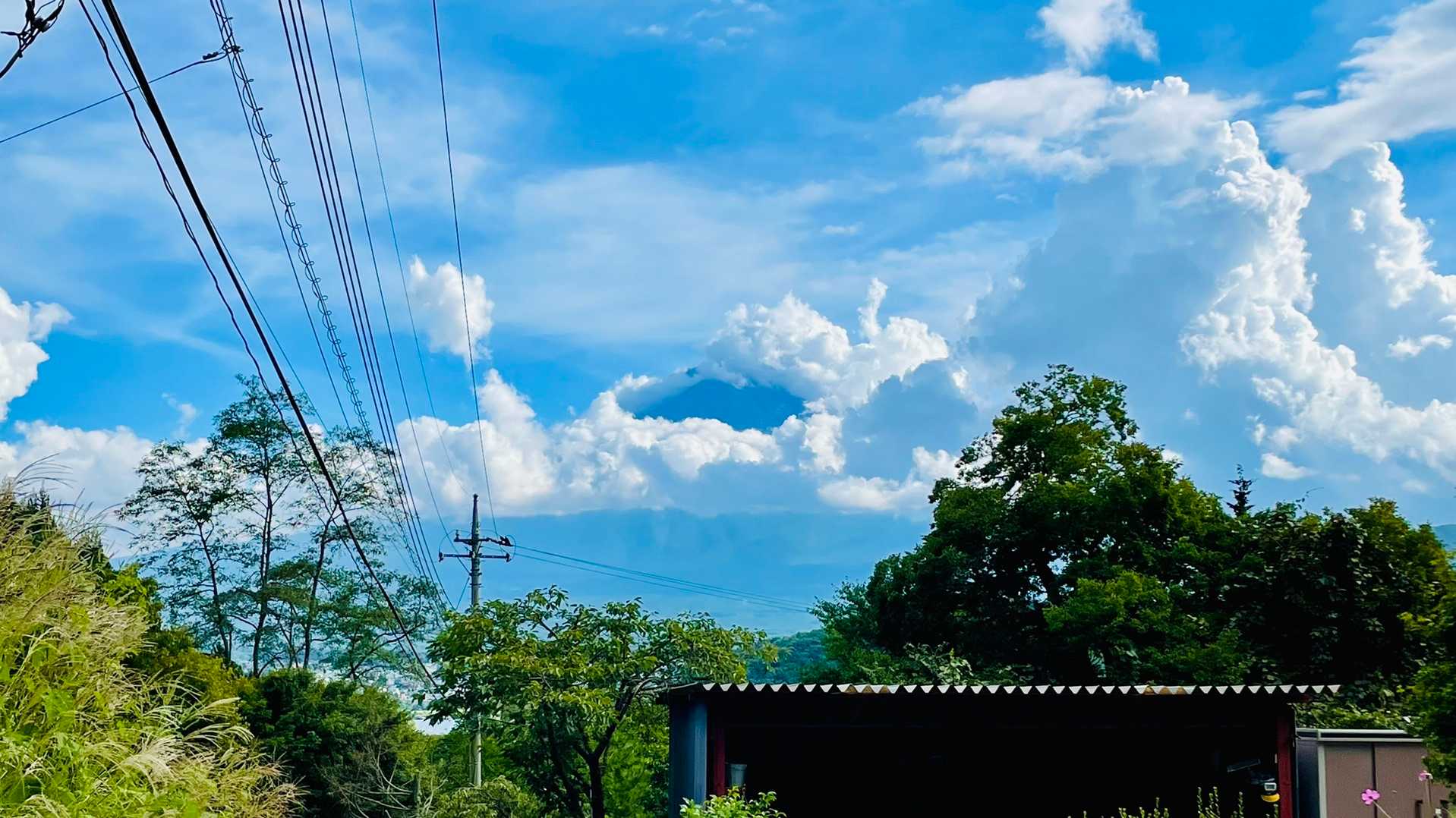 帰り道でひょっこりはん🗻✨
