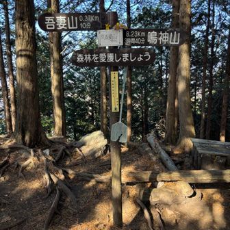 女吾妻山。山頂。