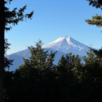 富士山も見えます。