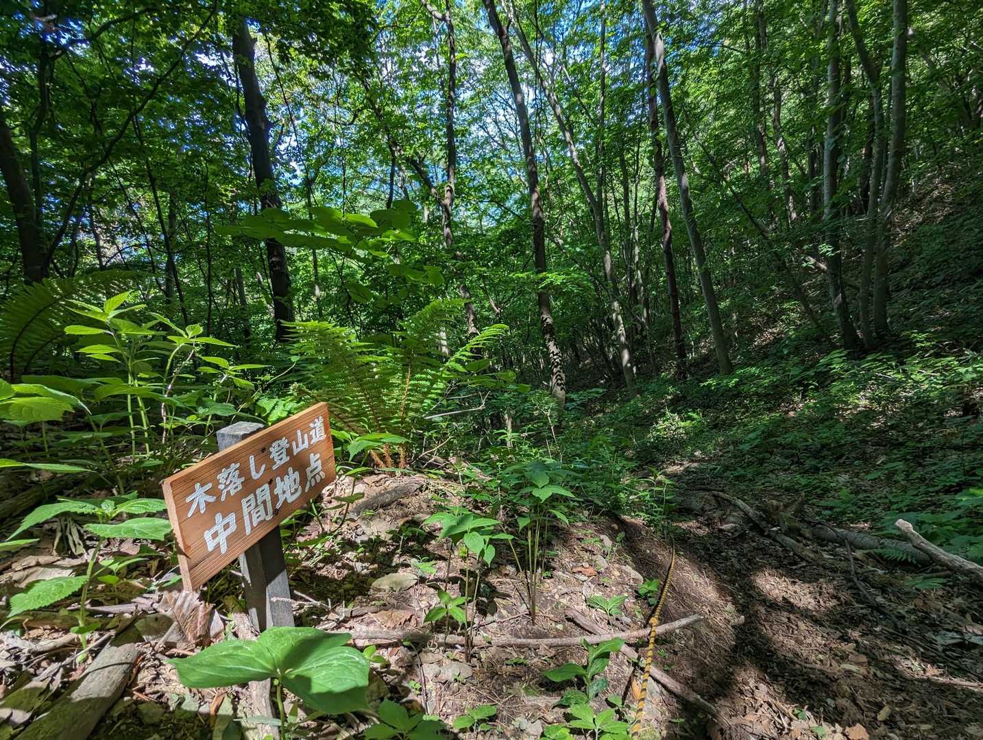 木落とし登山道(＠_＠;)
どおりで激下りなわけだ🤣