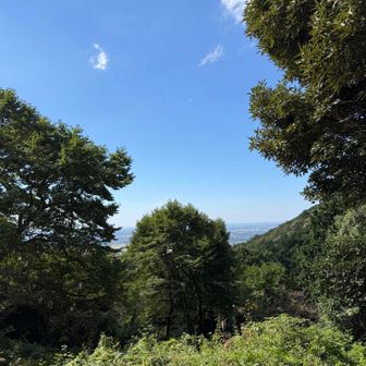 夏日サイコー☀️