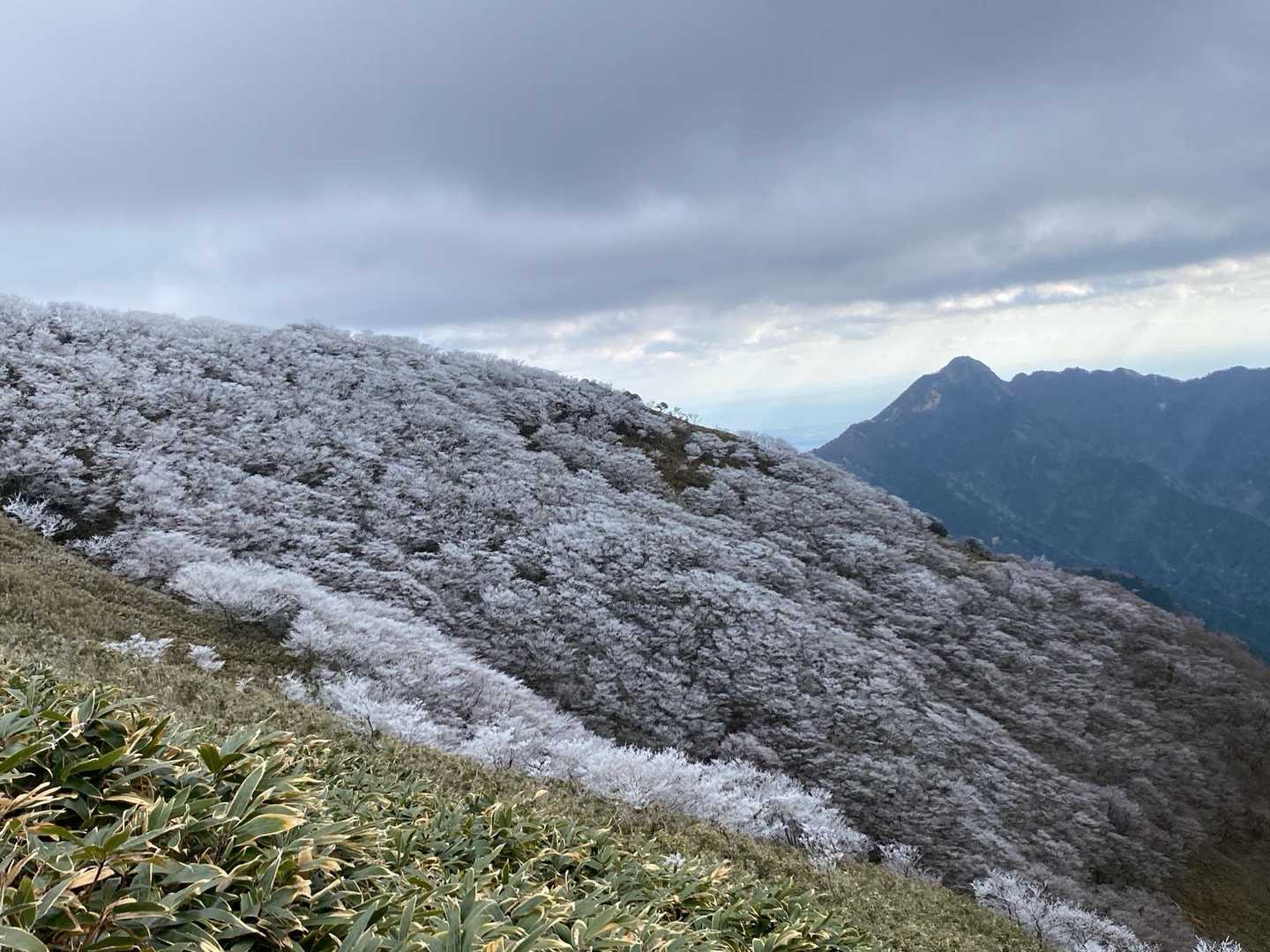 武平トンネル西駐車場登山口-沢谷峠-雨乞岳-杉峠 周回コースの写真