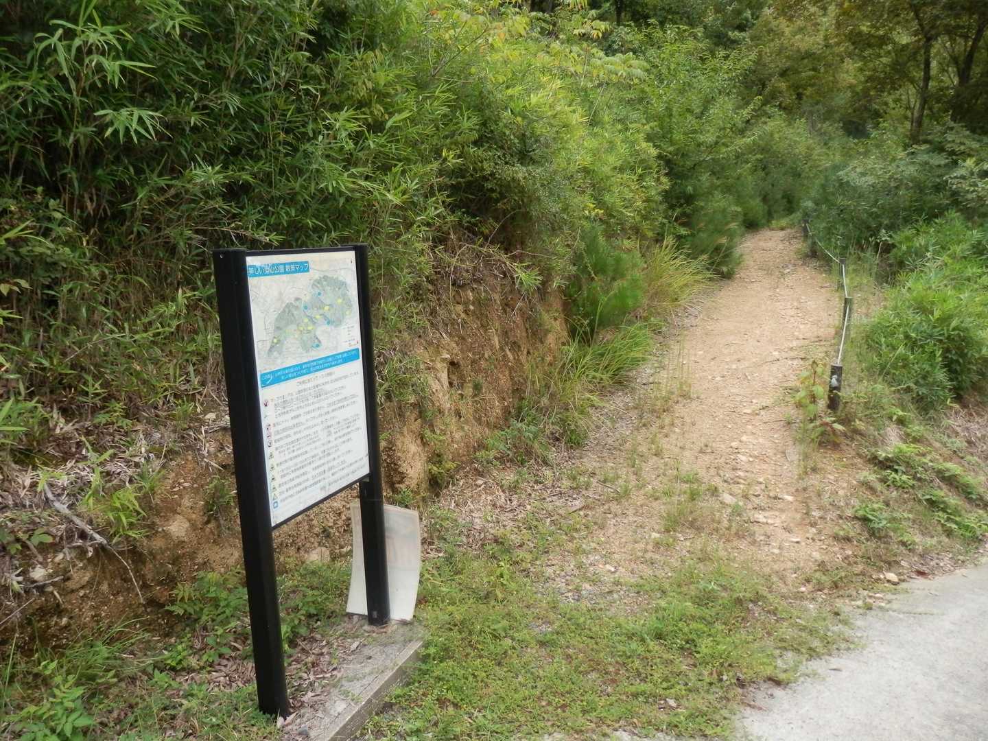 右に下りれば朽木方面
