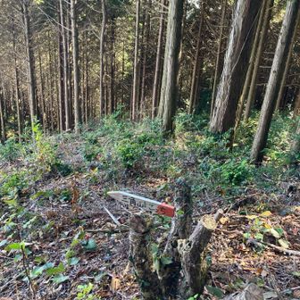 わかりやすい矢印ありがたい