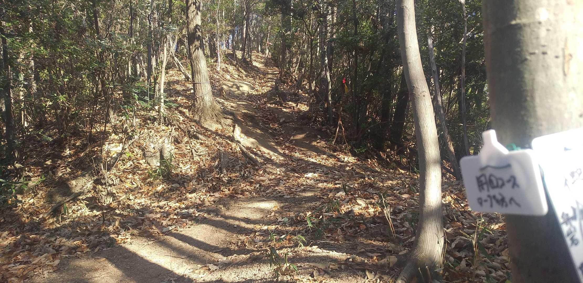 車道コース登山口-西コース登山口-蛇円山-東コース登山口 周回コースの写真
