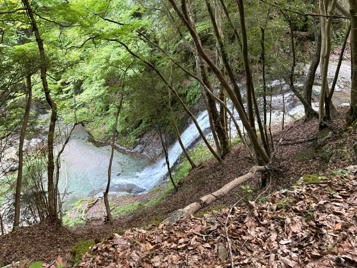 沢遊びも楽しそう😊