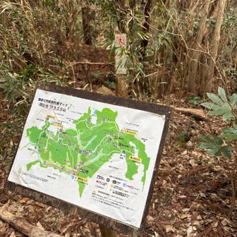 うさぎ山は山札なし
はっきりとしたピークの感じもない