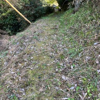 下山したら 今度は 真弓に会いに！
ここ どこよ？ルートじゃないんか？
民家の小路みてーじゃねーか！