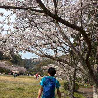 お花見場所探して…じゃなくて
おいちゃんが飛ばしてる紙飛行機✈️に
興味深々🤣中身は少年🤭笑