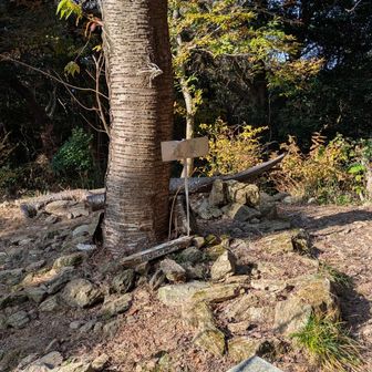 15分ほどで展望のない丸山でした。
女山への周回は車道だったので清水寺に戻りました。