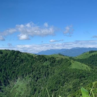 向こうのお山も綺麗。笹原かな🤔
『登って来た⛰️かな🤔』って言っていたら、本当にそうだった。
この後、あっちへ戻ります。