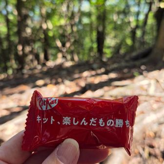 キット、楽しんだもの勝ち😉